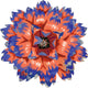 Orange/Purple