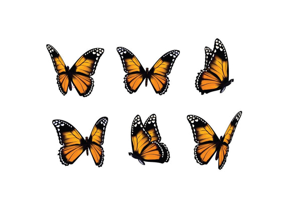 Monarch Butterflies - Car Floats Reusable Car Decals