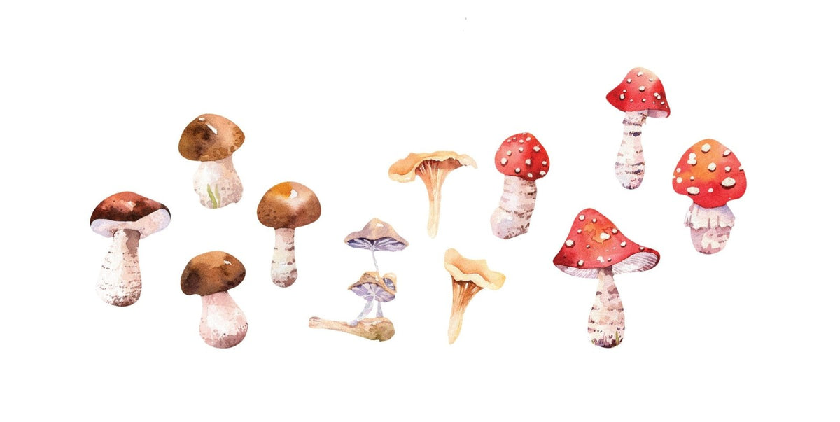 Mushrooms - Cover-Alls Decals