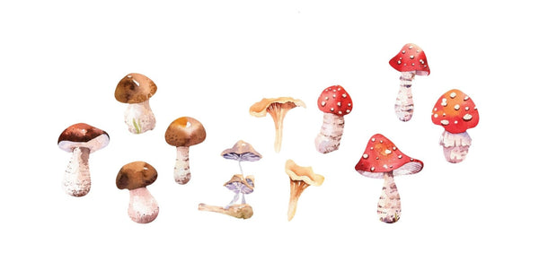 Mushrooms - Cover-Alls Decals