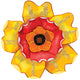 Yellow/Orange