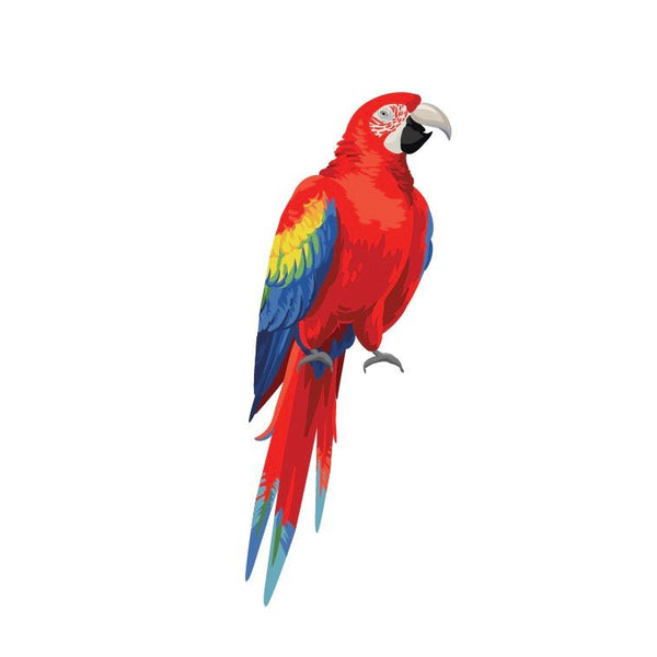 Parrots and Macaws - Cover-Alls Decals