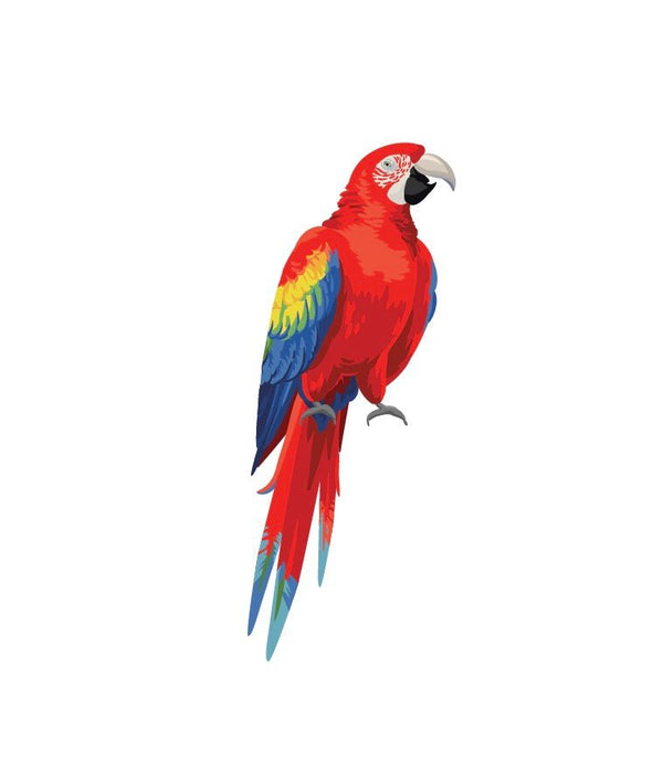 Parrots and Macaws - Cover-Alls Decals