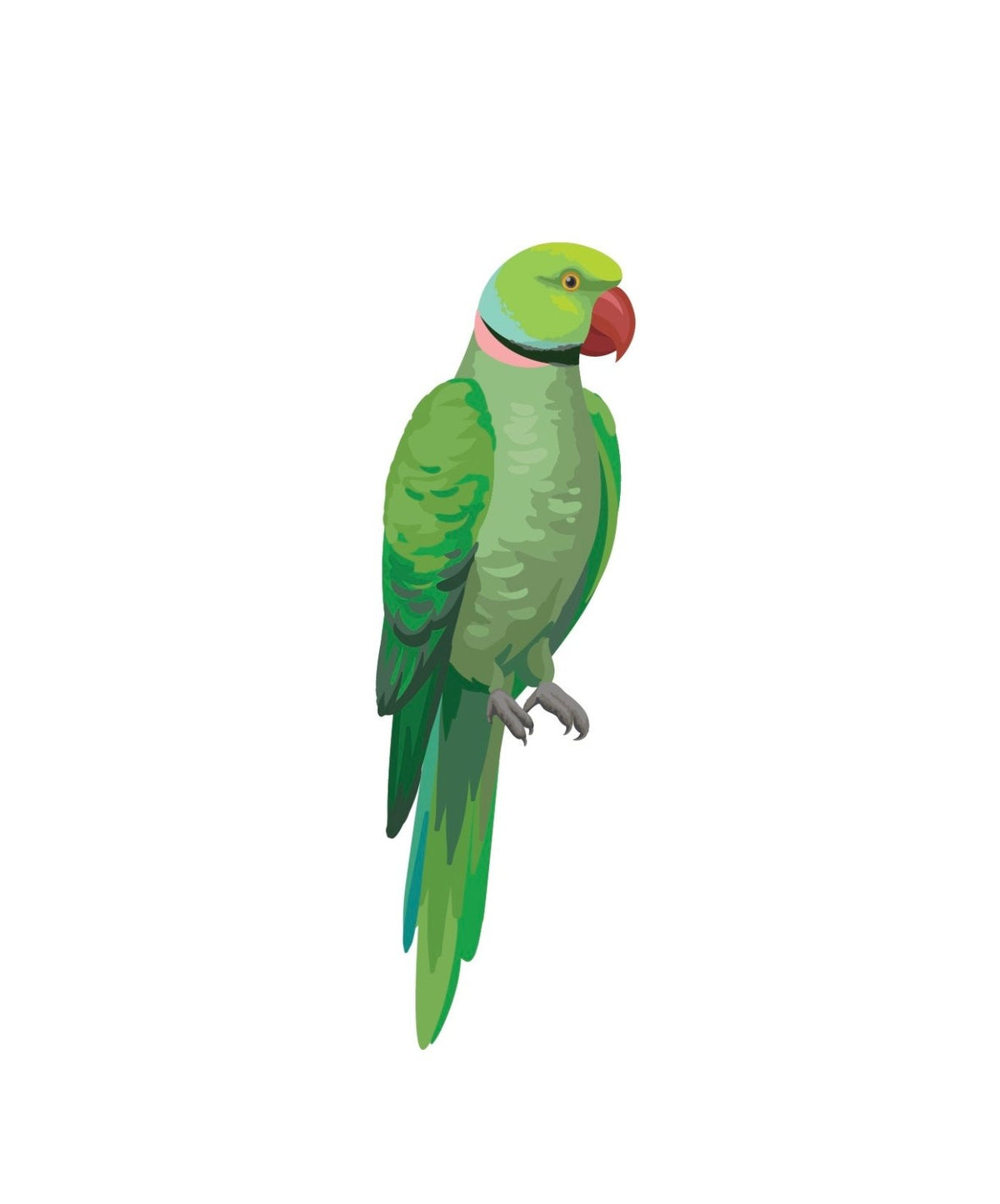 Parrots and Macaws - Cover-Alls Decals