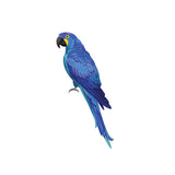 Parrots and Macaws - Cover-Alls Decals