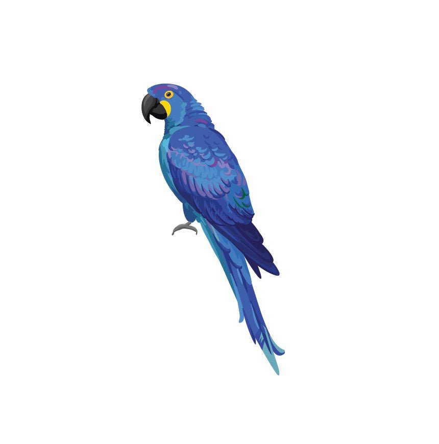 Parrots and Macaws - Cover-Alls Decals