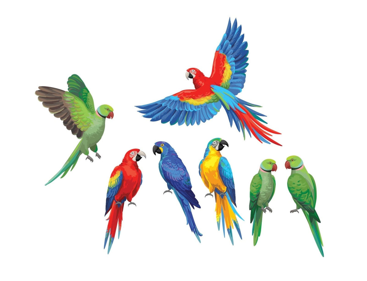 Parrots and Macaws - Cover-Alls Decals