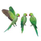 Parrots and Macaws - Cover-Alls Decals