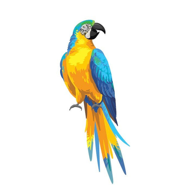 Parrots and Macaws - Cover-Alls Decals