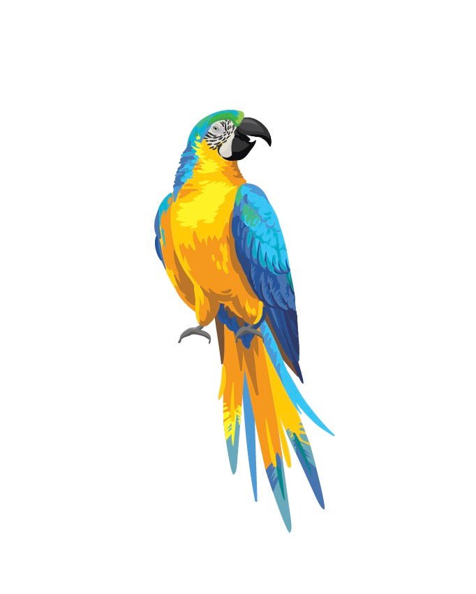 Parrots and Macaws - Cover-Alls Decals