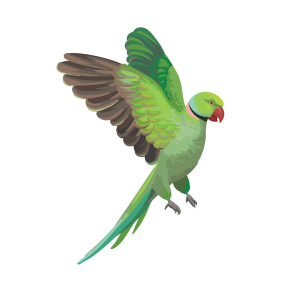 Parrots and Macaws - Cover-Alls Decals
