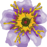 Passionate Flower Decals - Cover-Alls Decals