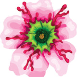 Passionate Flower Decals - Cover-Alls Decals