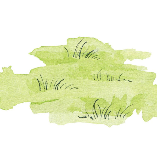 Patches of Grass - Car Floats Reusable Car Decals