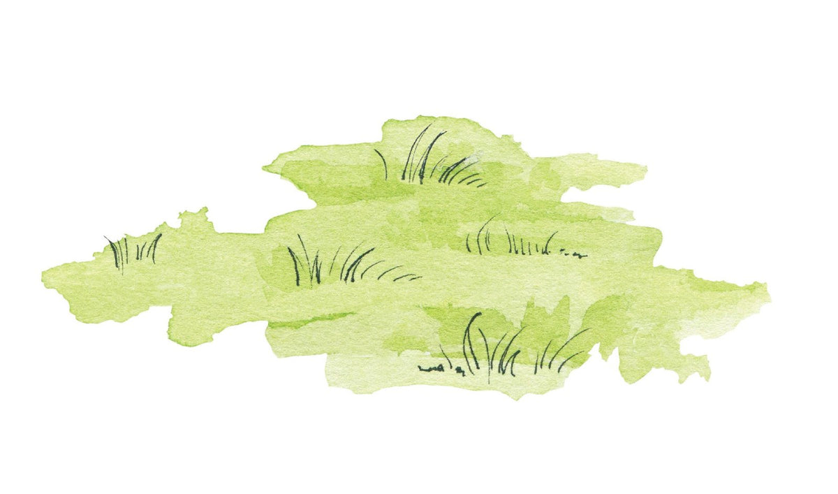 Patches of Grass Decal - Cover-Alls Decals