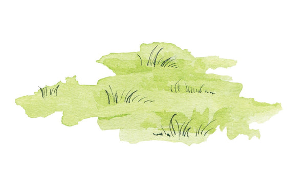 Patches of Grass Decal - Cover-Alls Decals