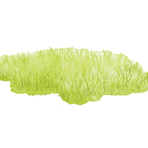 Patches of Grass Decal - Cover-Alls Decals
