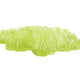 Grass #2
