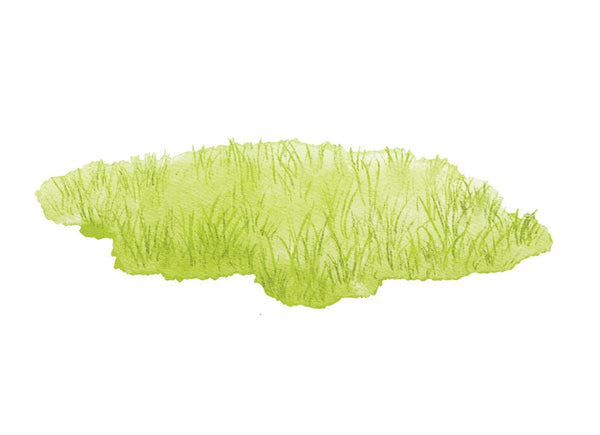 Patches of Grass Decal - Cover-Alls Decals