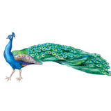 Peacock Decals - Cover-Alls Decals