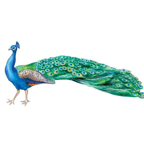 Peacock Decals - Cover-Alls Decals