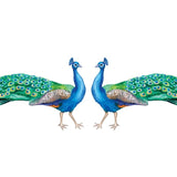 Peacock Decals - Cover-Alls Decals