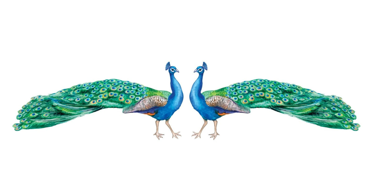 Peacock Decals - Cover-Alls Decals