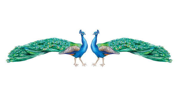 Peacock Decals - Cover-Alls Decals