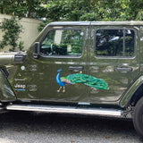 Peacock Decals - Cover-Alls Decals