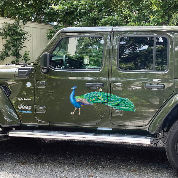 Peacock Decals - Cover-Alls Decals