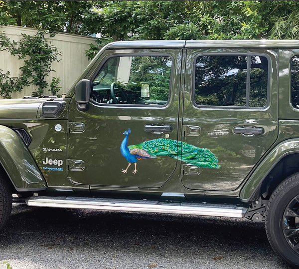Peacock Decals - Cover-Alls Decals