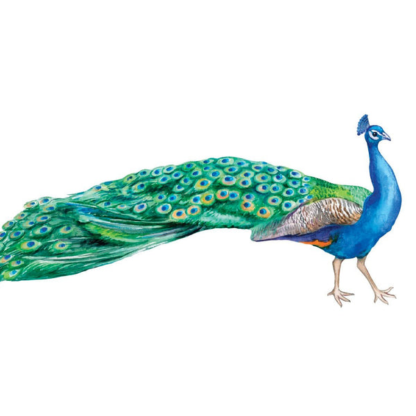 Peacock Decals - Cover-Alls Decals