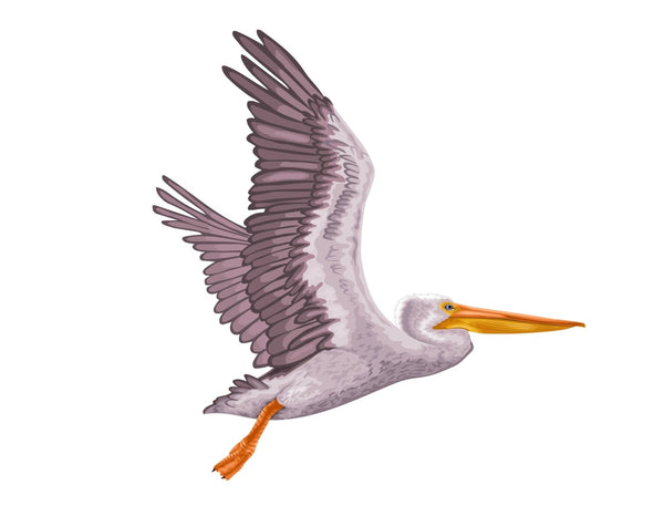Pelican - Cover-Alls Decals