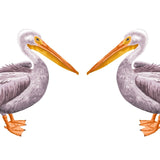 Pelican - Cover-Alls Decals