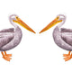 Both Standing Pelicans