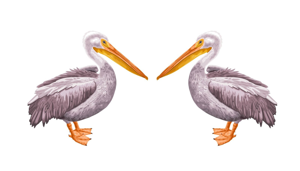 Pelican - Cover-Alls Decals