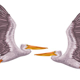 Pelican - Cover-Alls Decals