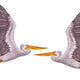 Flying Pelican Both
