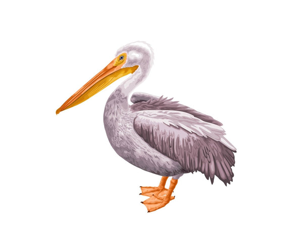 Pelican - Cover-Alls Decals