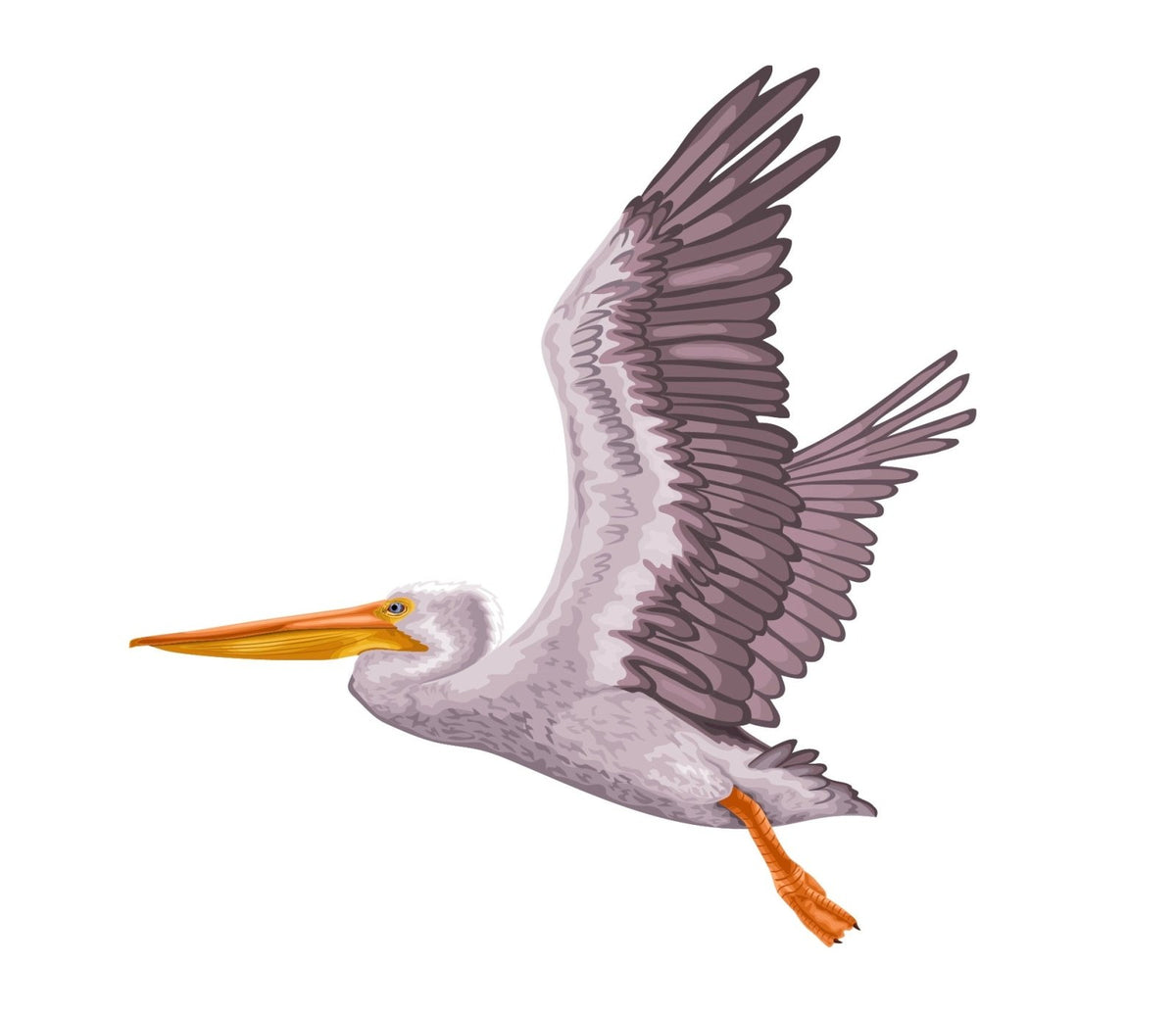 Pelican - Cover-Alls Decals