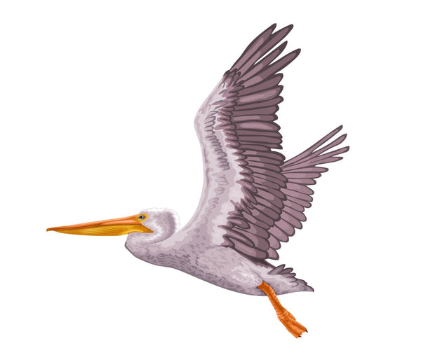 Pelican - Cover-Alls Decals