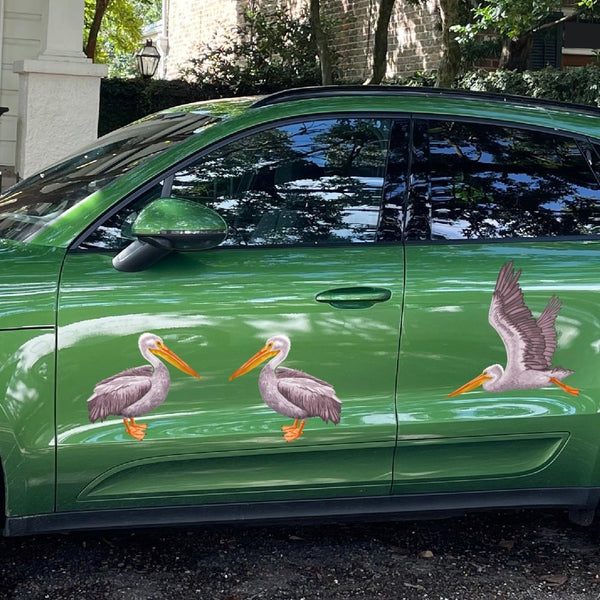 Pelican - Cover-Alls Decals