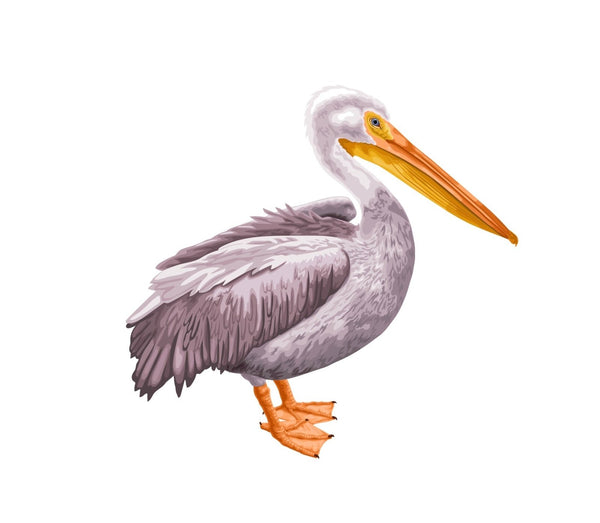 Pelican - Cover-Alls Decals