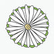 Psychedelic Daisy — white
