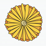 Psychedelic Daisy Decals - Cover-Alls Decals