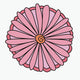 Psychedelic Daisy — pink