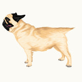Life-Sized Pug Decal - Cover-Alls Decals