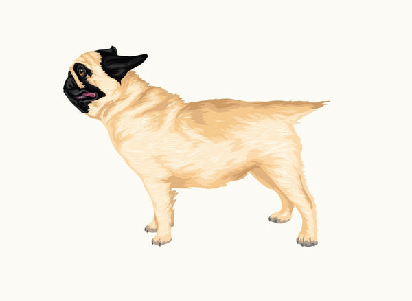 Life-Sized Pug Decal - Cover-Alls Decals