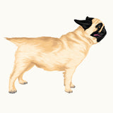 Life-Sized Pug Decal - Cover-Alls Decals