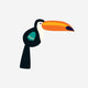Toucan 1 (#4)